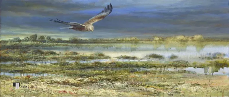 Bruine kiekendief - Erik van Ommen - giclee op canvas