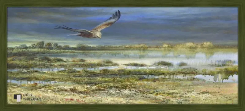 Bruine kiekendief - Erik van Ommen - in sierlijst Landscape bosgroen 21mm