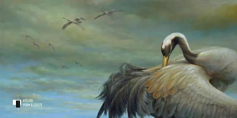 Kraanvogel - Erik van Ommen - giclee op canvas