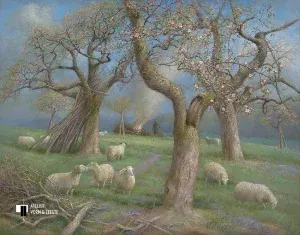 Schapen in de boomgaard - Patrick Creyghton - giclee op canvas