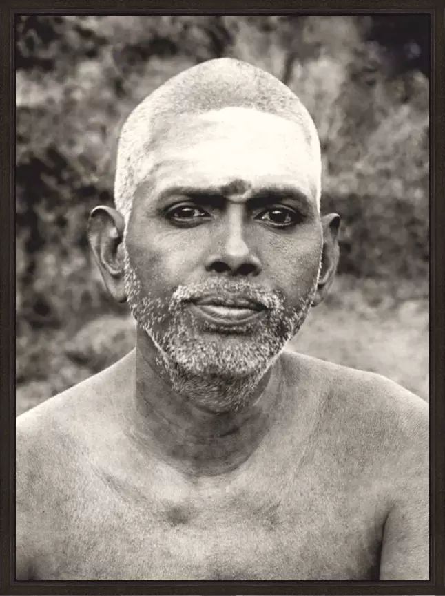 Vibhuti - Afbeelding 2