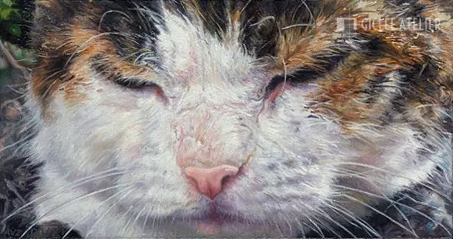 Cat eyes - Adriana van Zoest - gicleekunst