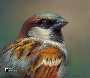 Portret van een huismus - Erik van Ommen - giclee op fine art paper