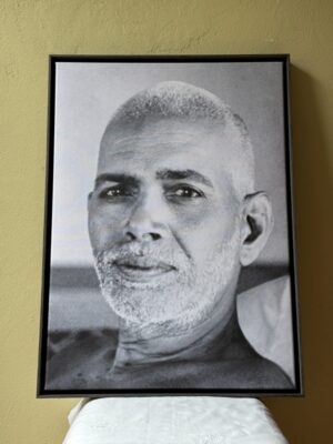 Eye Contact - Ramana Maharshi - 50x70cm - in baklijst Veneer donkergrijs