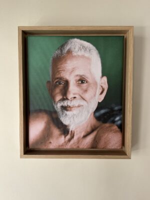 Truth in Green - Ramana - 25x30 - in baklijst Woodline eiken 9mm