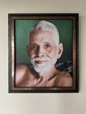 Truth in Green - Ramana - 30x35 - in sierlijst Canova antiek zwart-goud 35mm